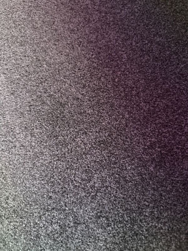 Chocolate kitten British shorthair - Image 2 of 3