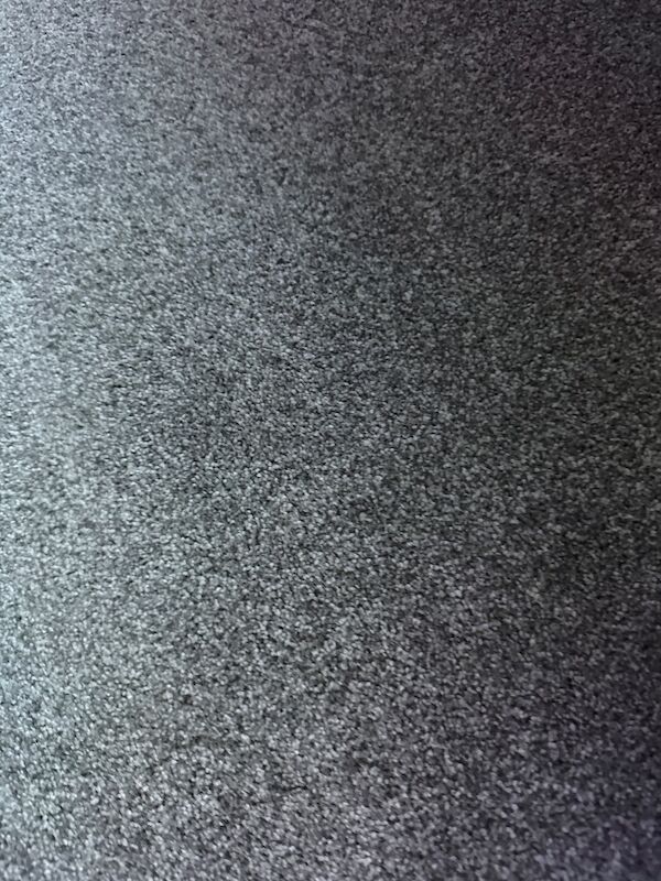 Chocolate kitten British shorthair - Image 3 of 3