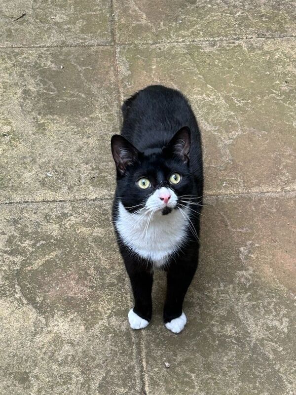 Cute and sweet little boy