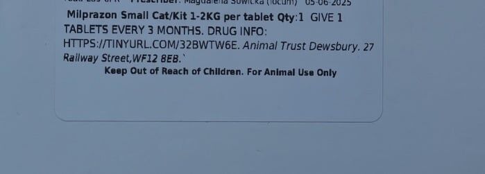 kitten for sale in Leeds, West Yorkshire | Image 3