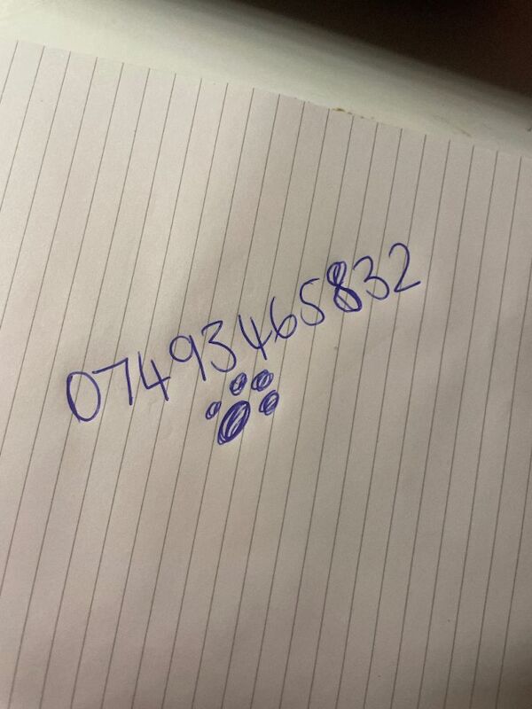 British Shorthair kittens for sale in Peterlee, Durham – 6 weeks old - Image 5 of 5