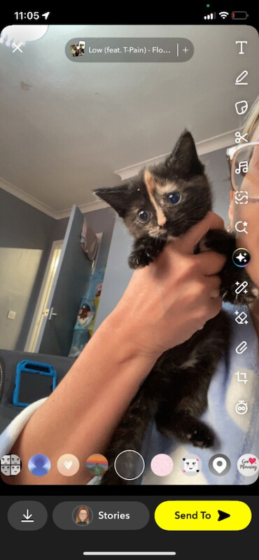 Little girl polly - Image 2 of 5