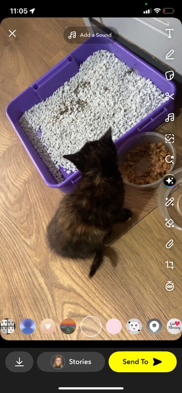 Little girl polly - Image 3 of 5