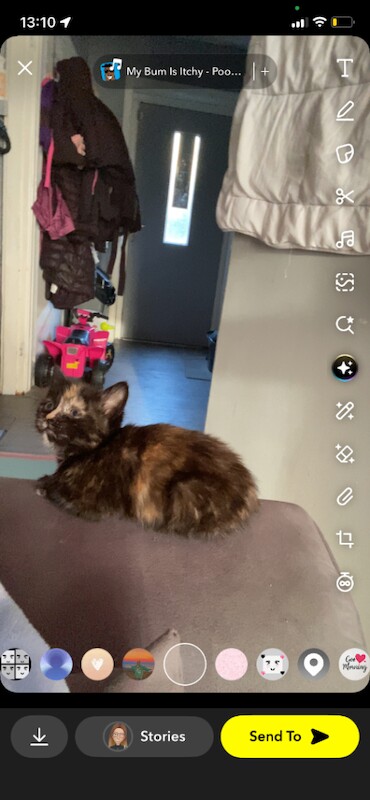 Little girl polly - Image 5 of 5