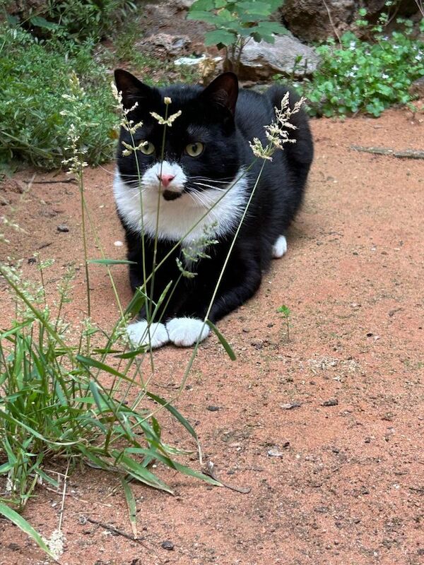 Sweet and cute baby - Image 4 of 5