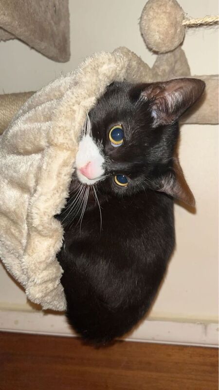 Sweet and cute baby - Image 5 of 5